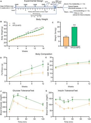 High Fructose Corn Syrup-Moderate Fat Diet Potentiates Anxio-Depressive Behavior and Alters Ventral Striatal Neuronal Signaling